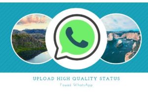 Privacy Features of Fouad WhatsApp